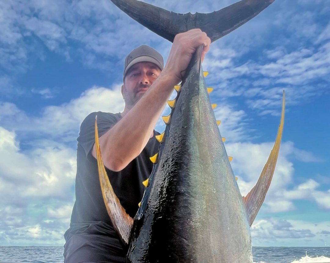 Yellowfin tuna